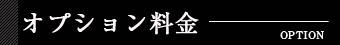 オプション